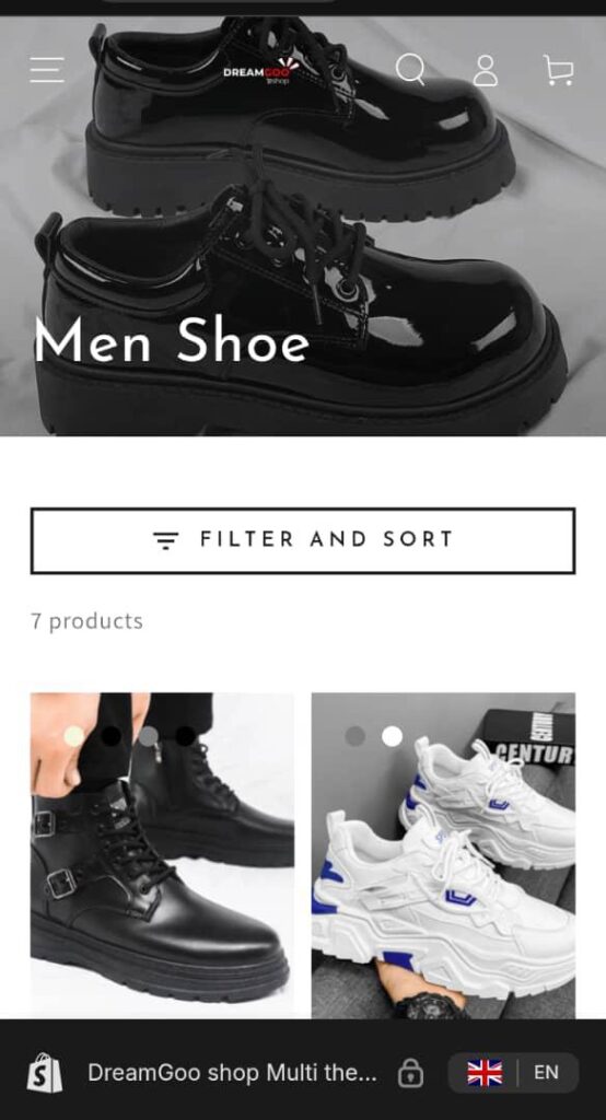 Men shoe